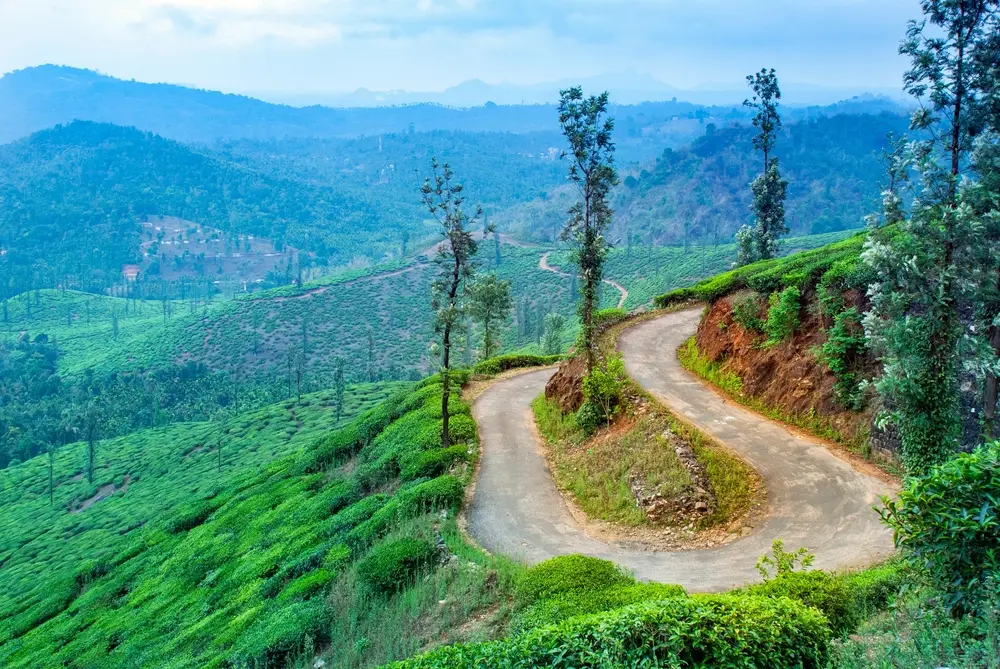 Wayanad - Coldest Place in South India