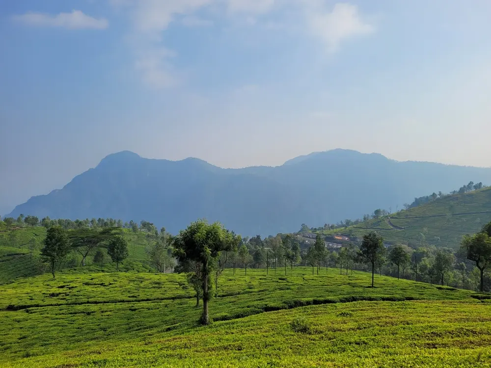 Yercaud and Coonoor - Coldest Place in South India