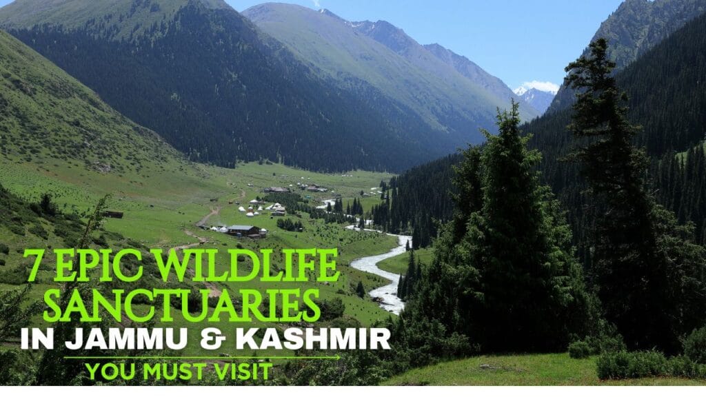 wildlife Sanctuaries in Jammu and Kashmir