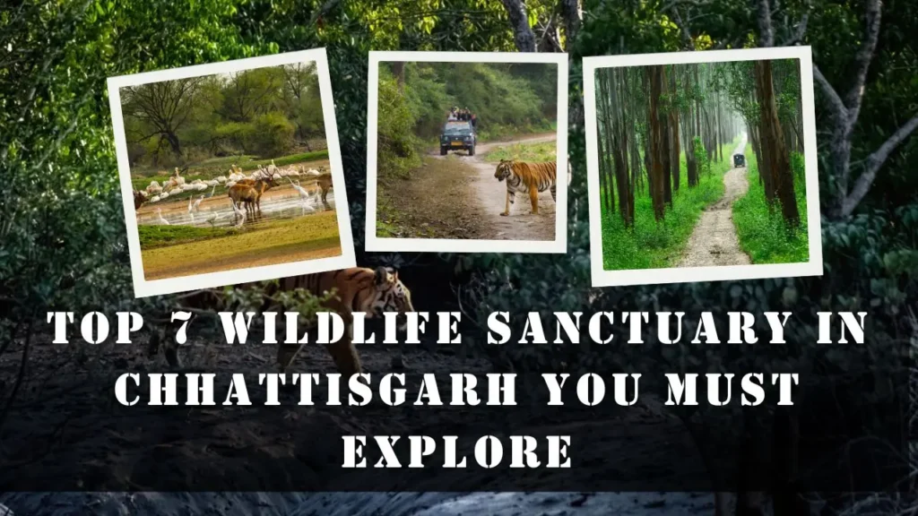 Wildlife Sanctuary in Chhattisgarh