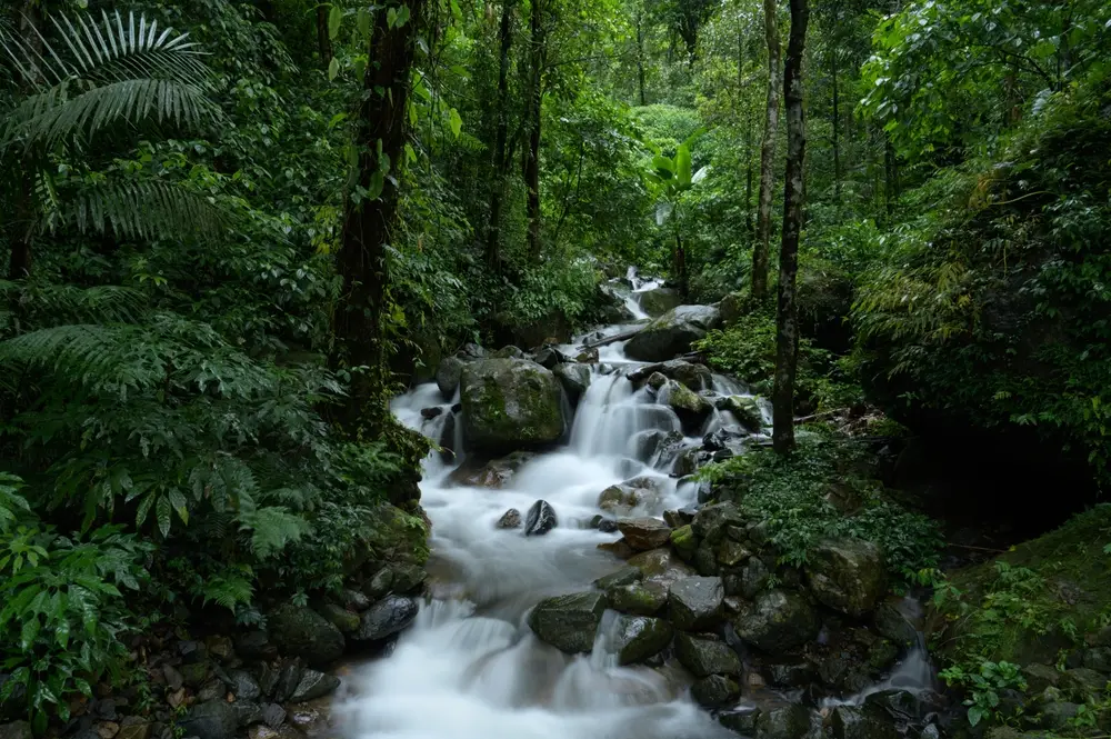 Wildlife Sanctuary in Meghalaya