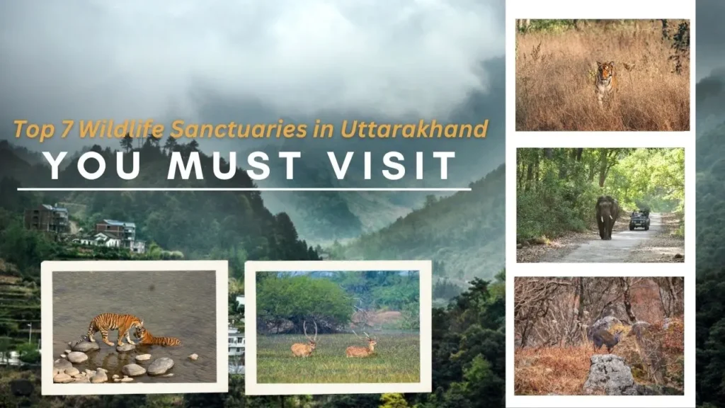 Wildlife Sanctuary in Uttarakhand