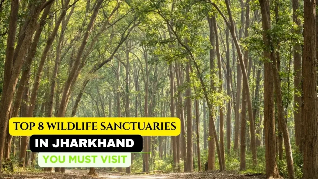 Wildlife Sanctuary in Jharkhand