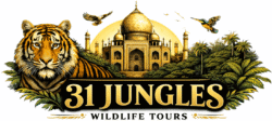 31 Jungles Wildlife Tours